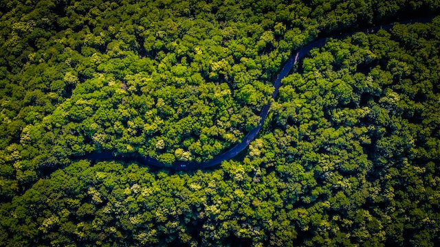 Sustentabilidade e Finanças